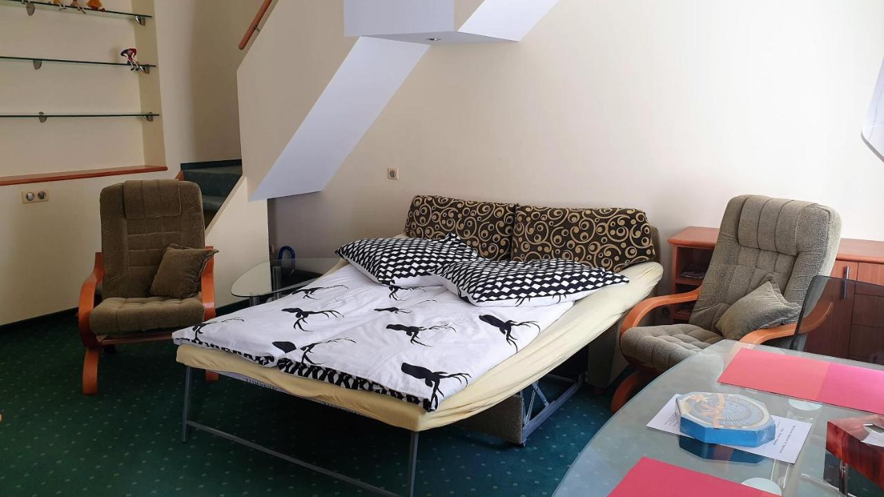 Spa Apartment Raisova Карлови Вари Екстериор снимка