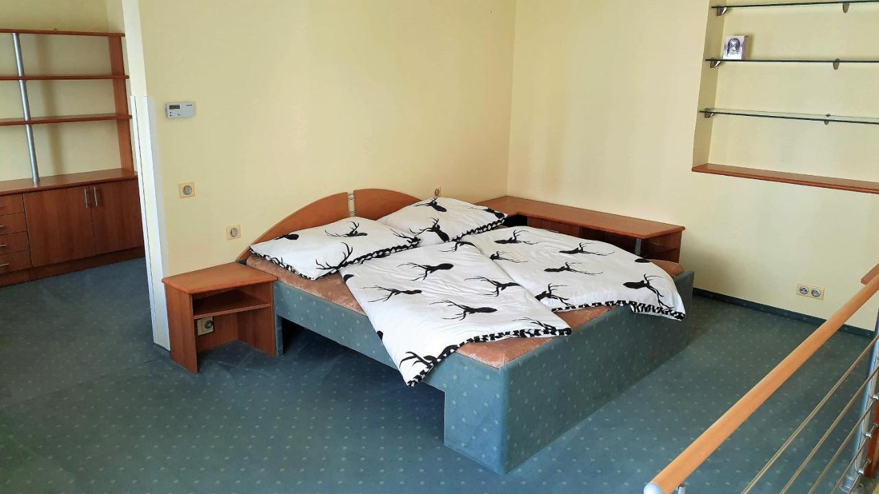 Spa Apartment Raisova Карлови Вари Екстериор снимка
